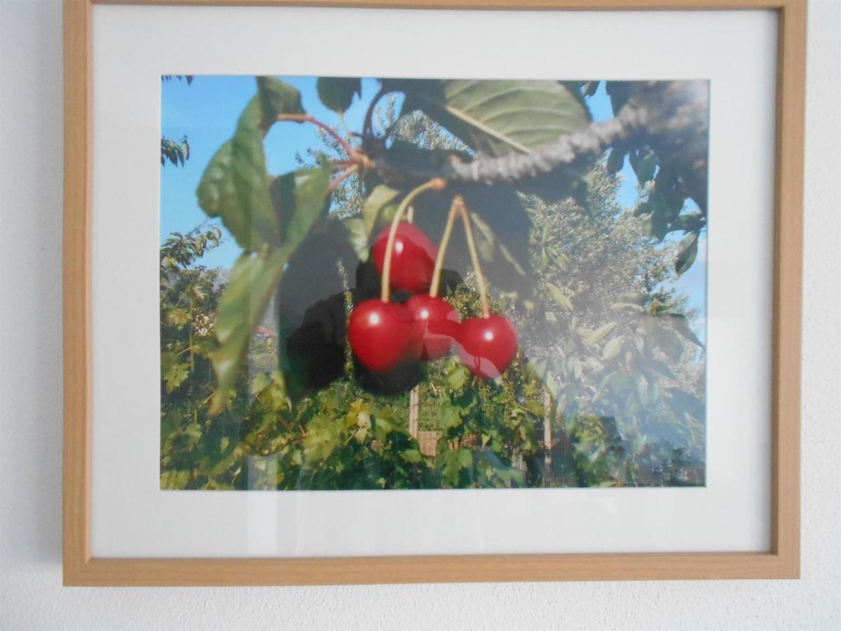 Apartment Cherry Kastela Dış mekan fotoğraf